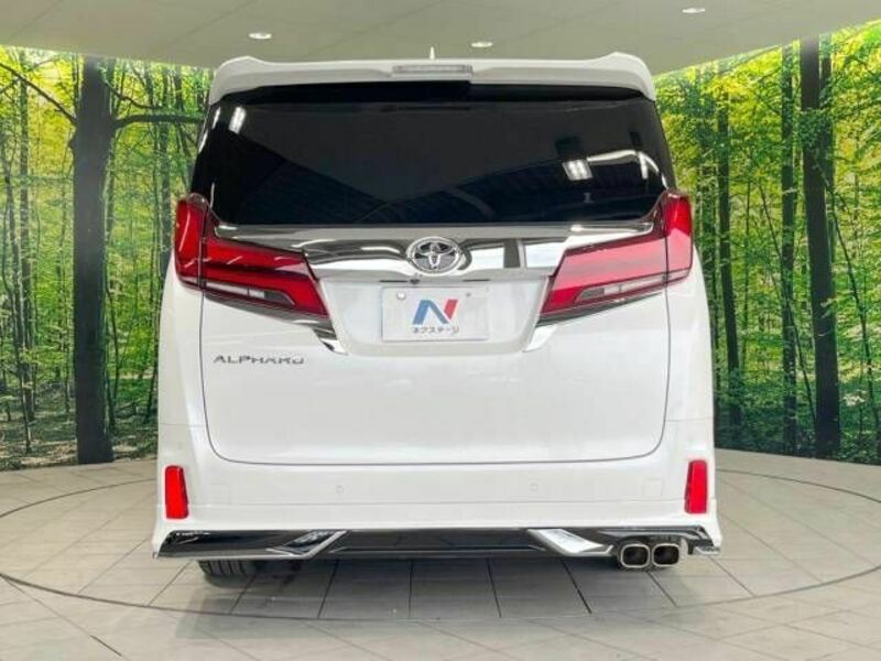 ALPHARD-16