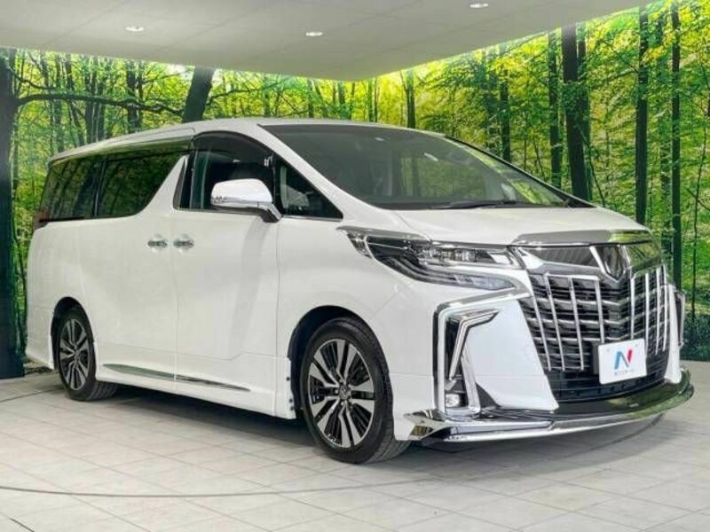 ALPHARD-17