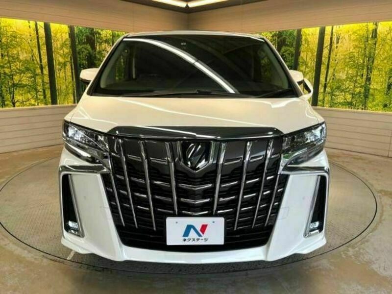 ALPHARD-15