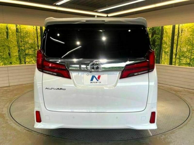 ALPHARD-16