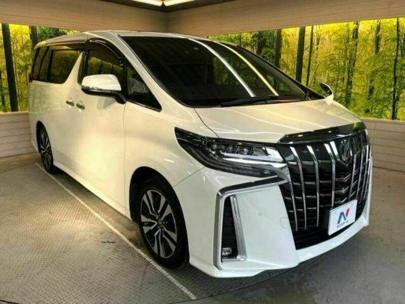 ALPHARD-17