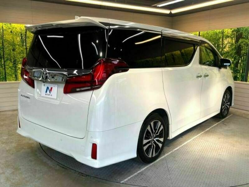 ALPHARD-18