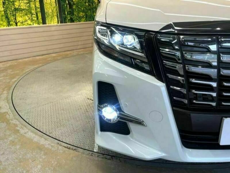 ALPHARD-14