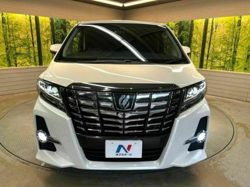 ALPHARD-15