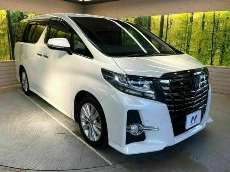 ALPHARD-17