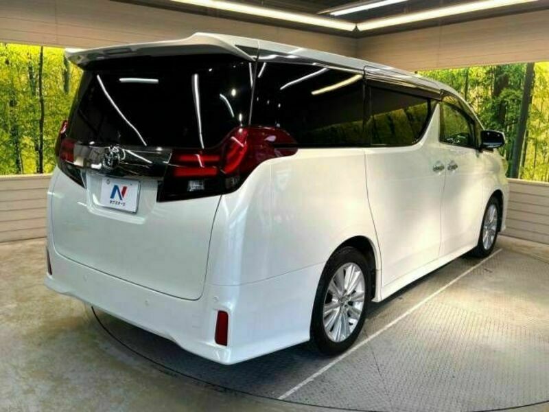 ALPHARD-18