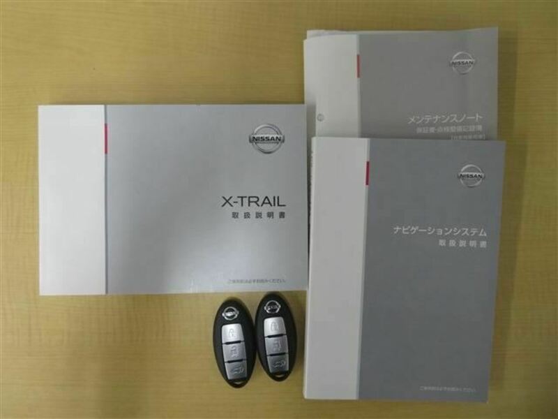 X-TRAIL-19