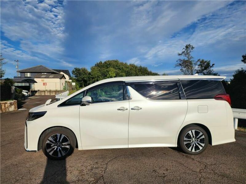 ALPHARD-6