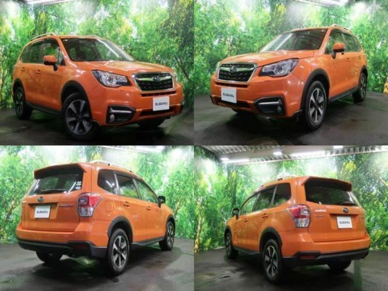 FORESTER-1