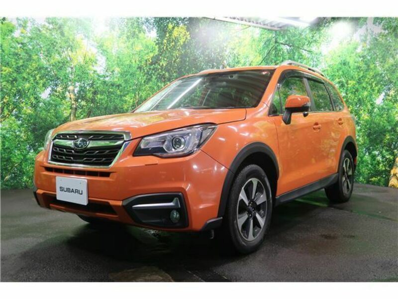 FORESTER-6