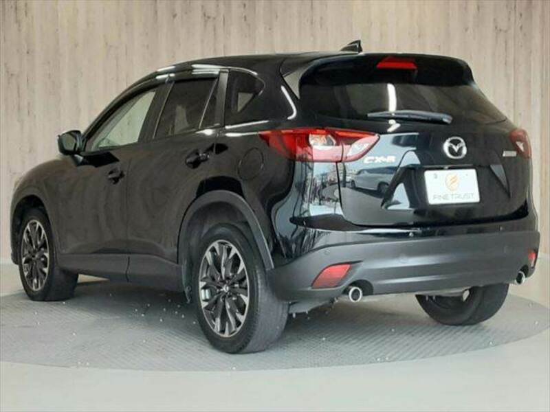 CX-5-19