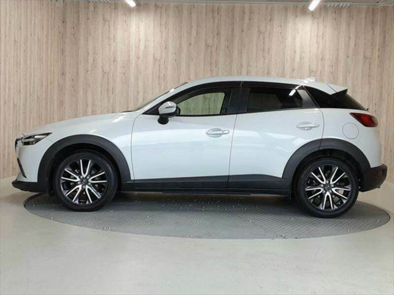 CX-3-19