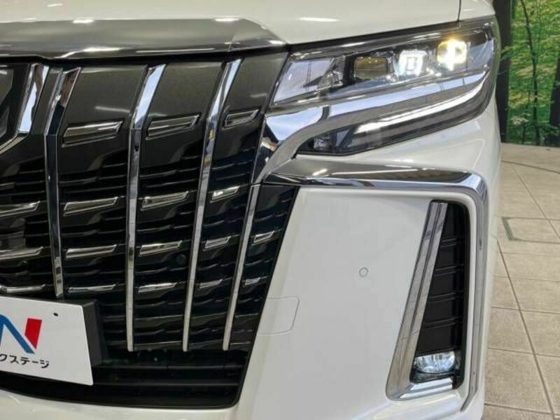 ALPHARD-13