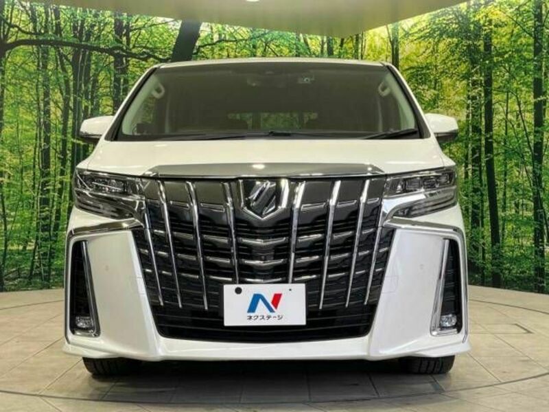 ALPHARD-15