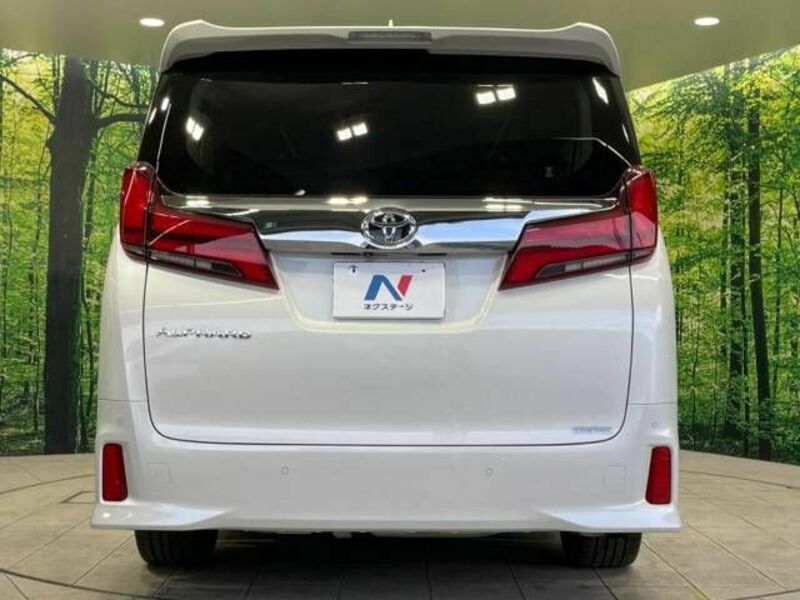 ALPHARD-16