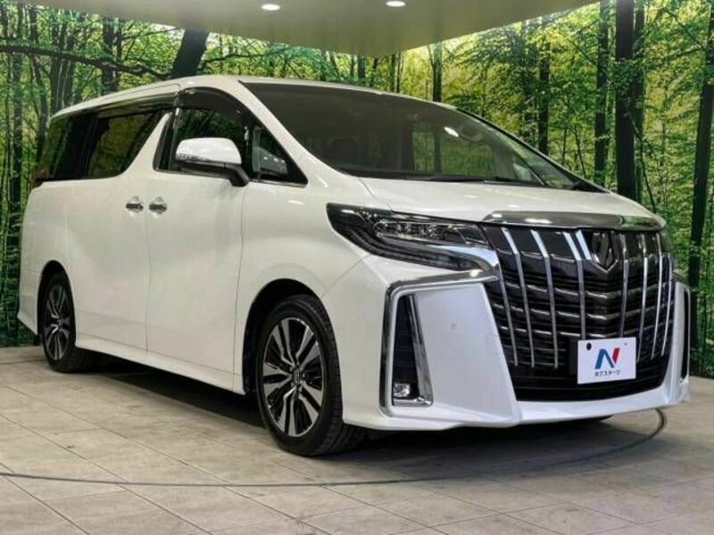 ALPHARD-17