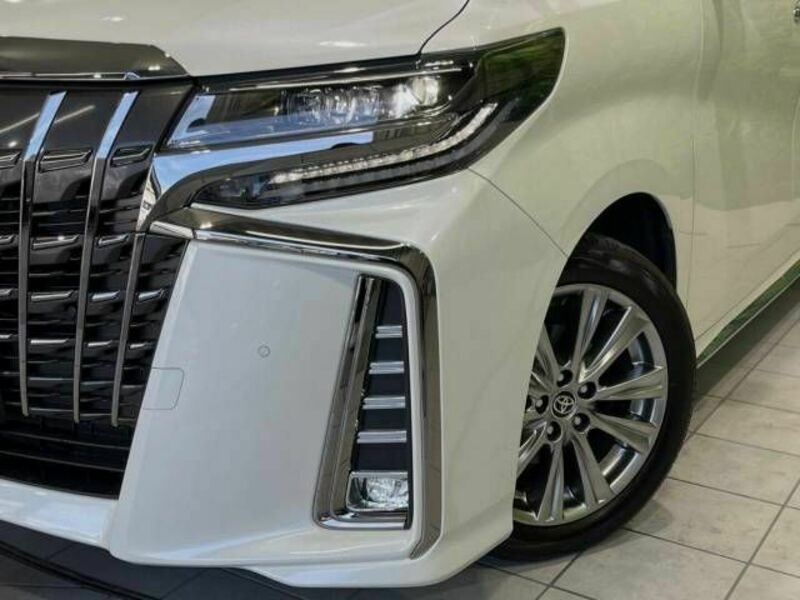 ALPHARD-13