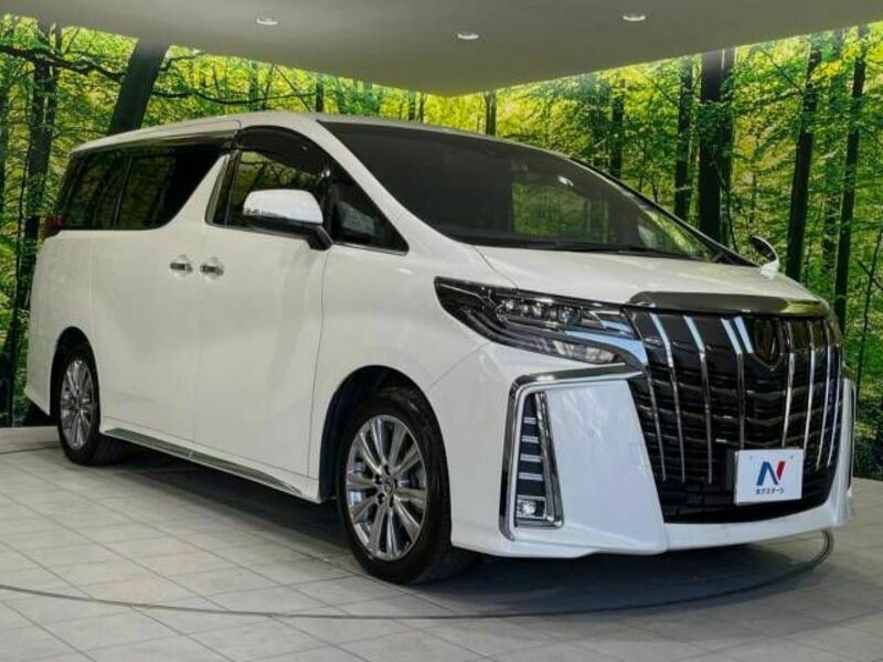 ALPHARD-17