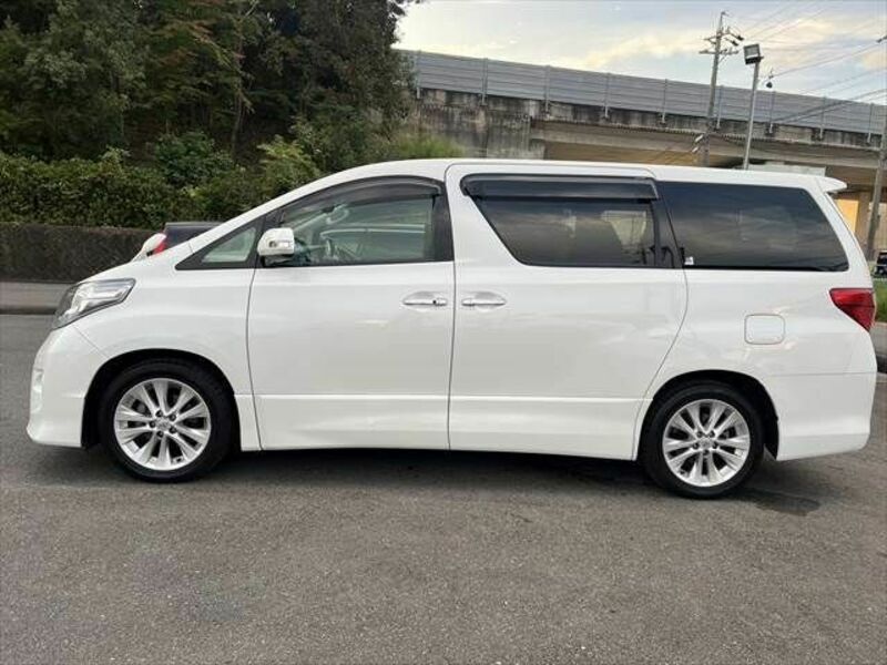 ALPHARD-22