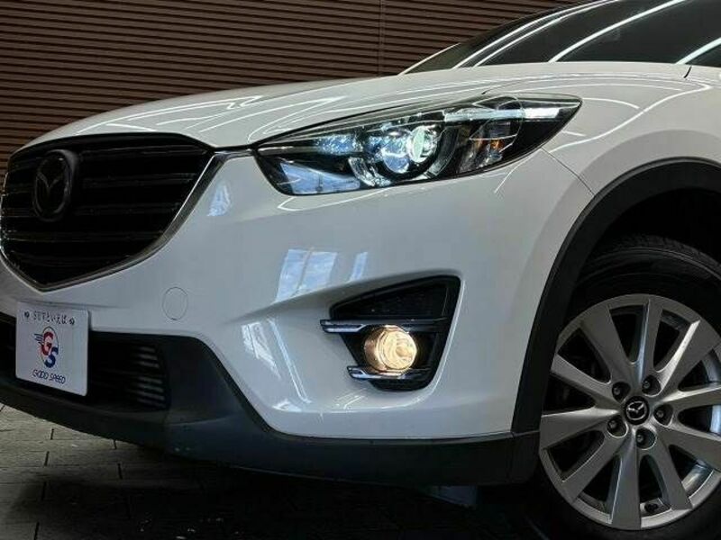 CX-5-19