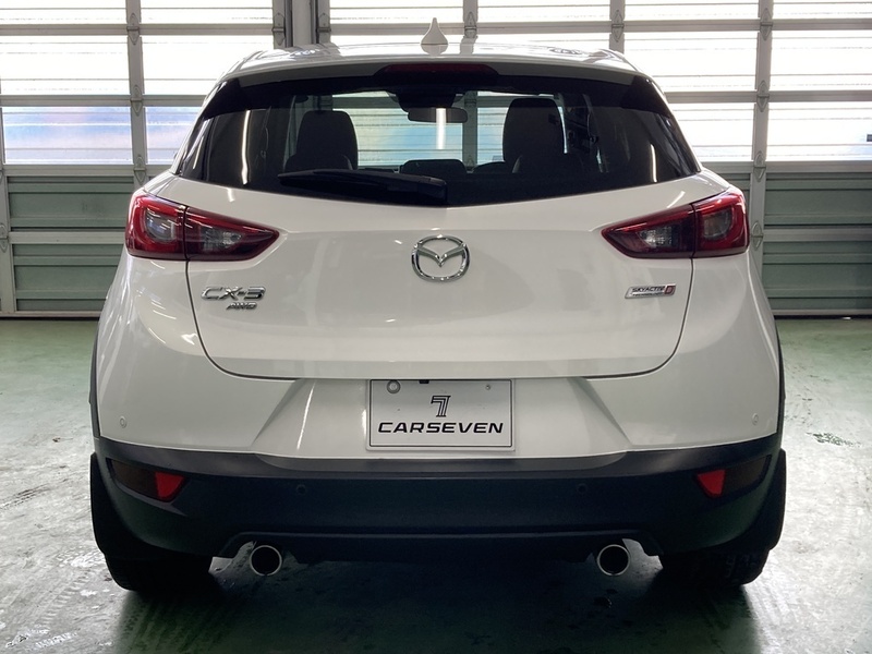 CX-3-3