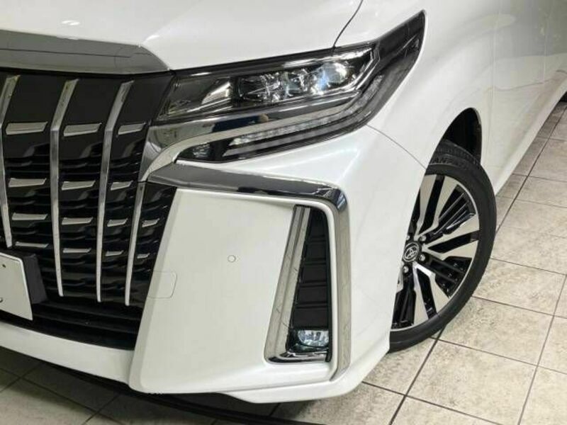 ALPHARD-13