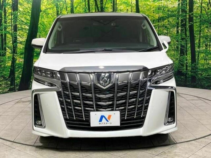 ALPHARD-15