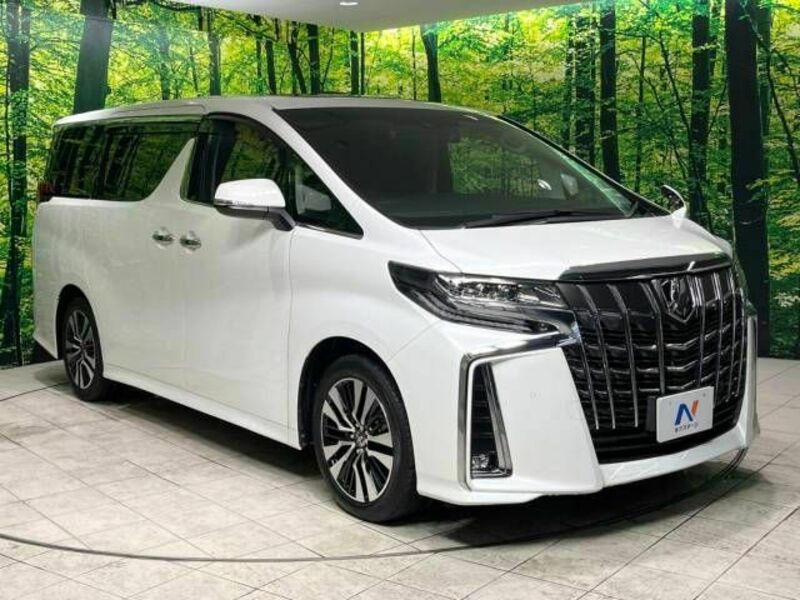 ALPHARD-17