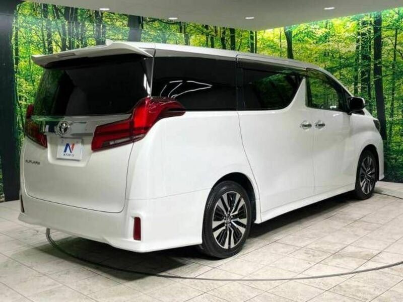 ALPHARD-18