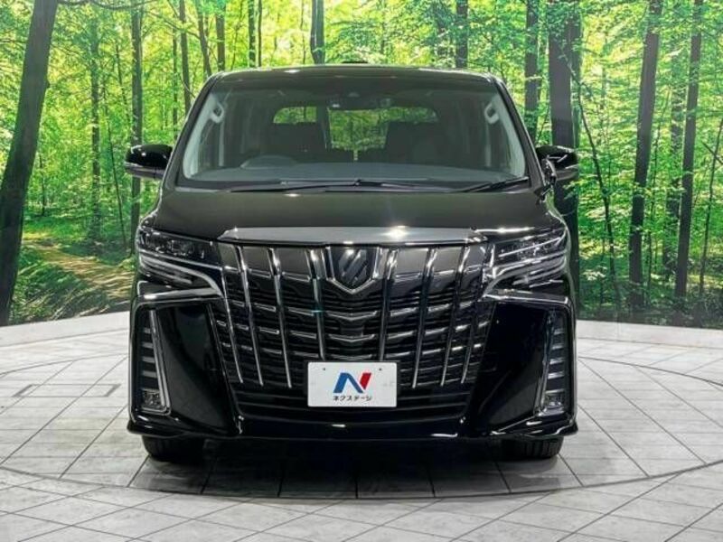 ALPHARD-15