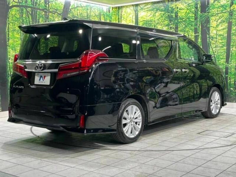 ALPHARD-18