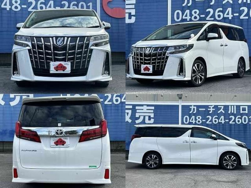 ALPHARD-8