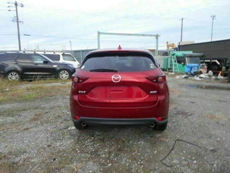 CX-5-6