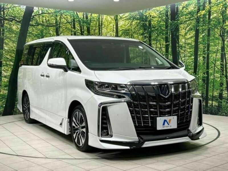 ALPHARD-17