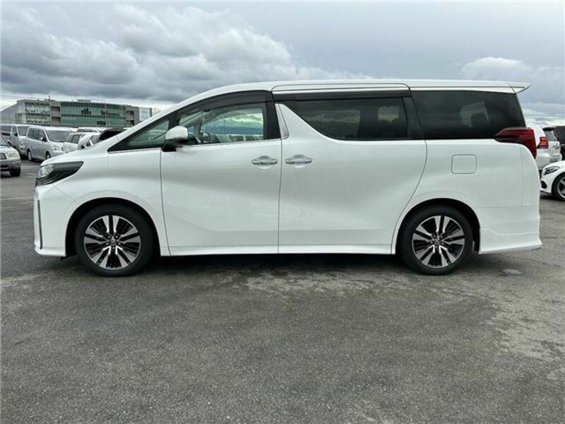 ALPHARD-6