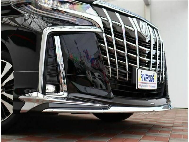 ALPHARD-18