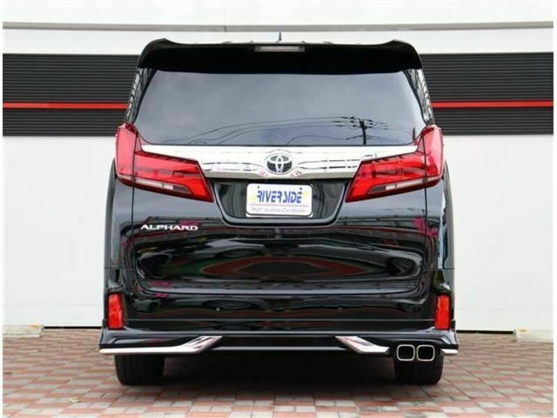 ALPHARD-21