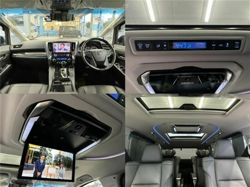 ALPHARD-6