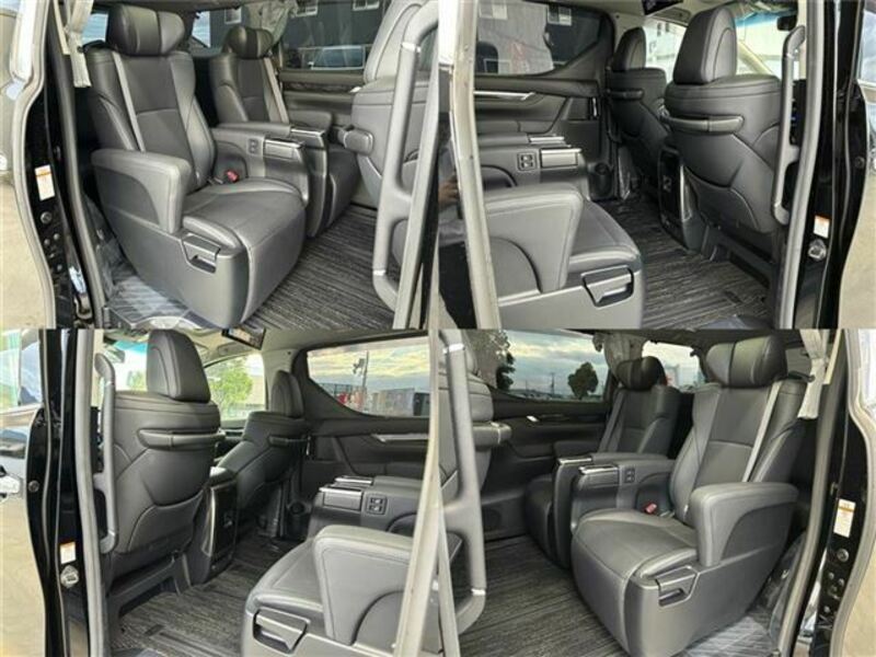 ALPHARD-10