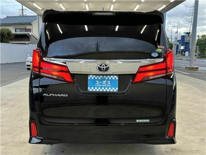 ALPHARD-13