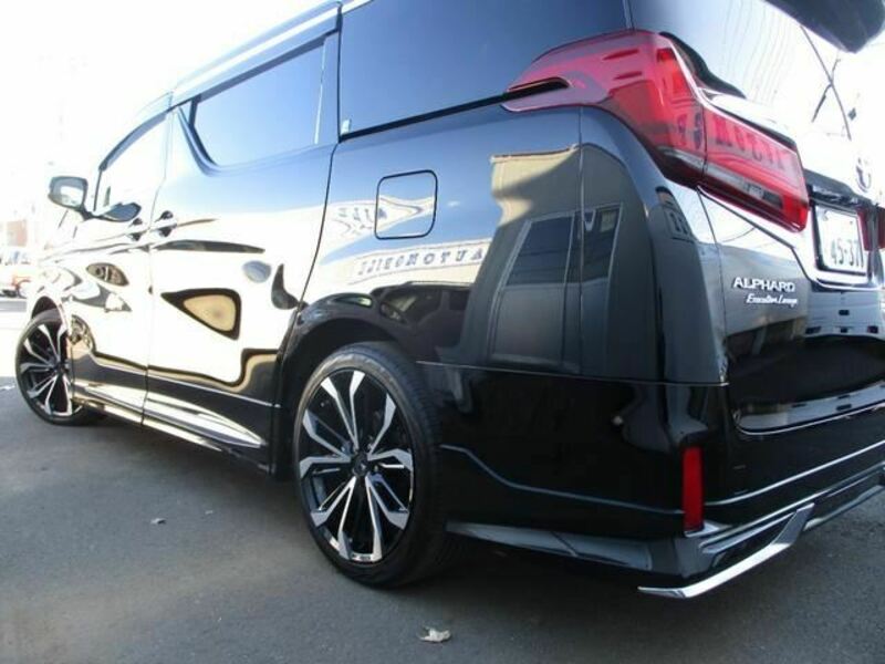 ALPHARD-10