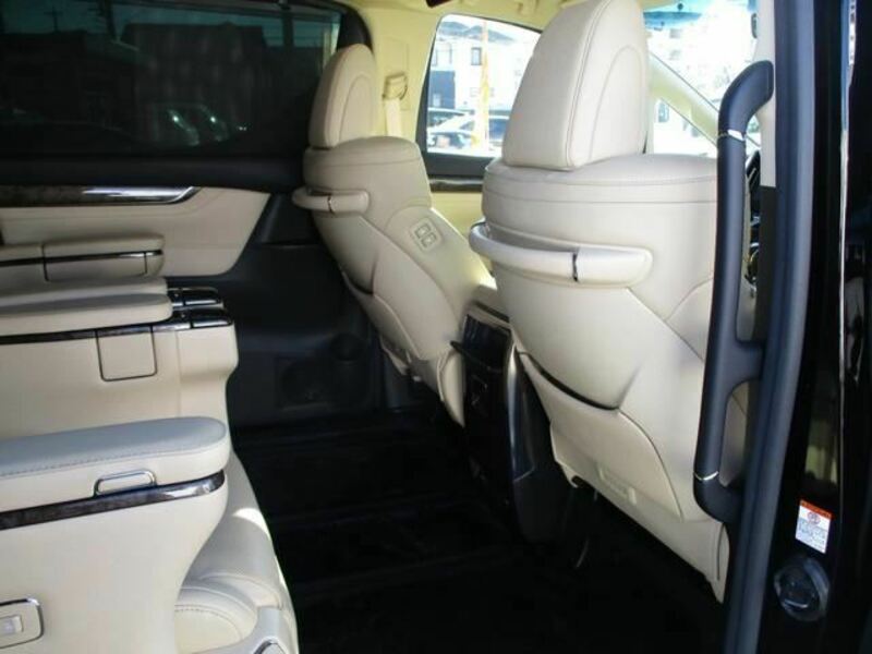 ALPHARD-42