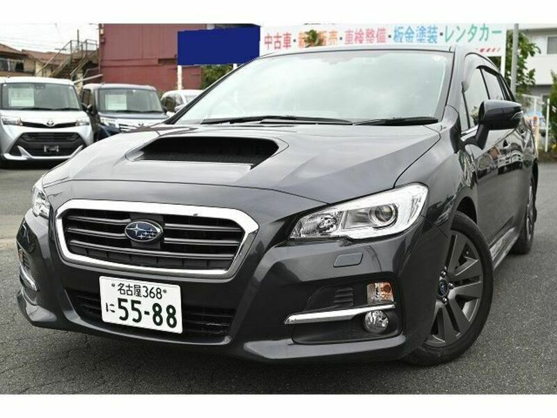 LEVORG-3