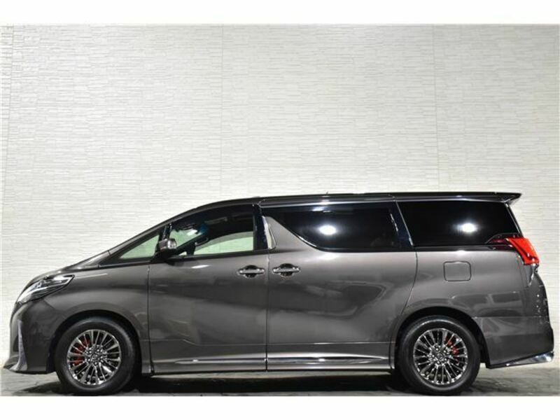 ALPHARD-41