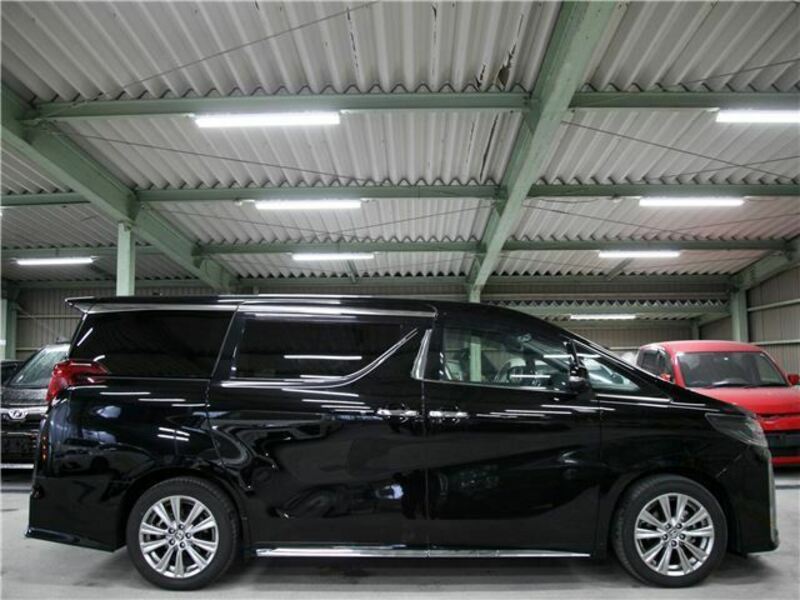 ALPHARD-31