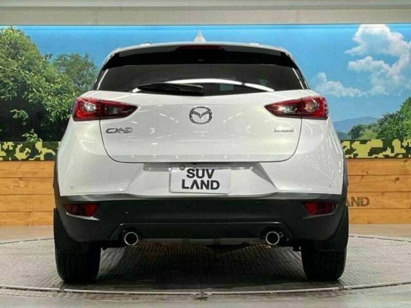 CX-3-15