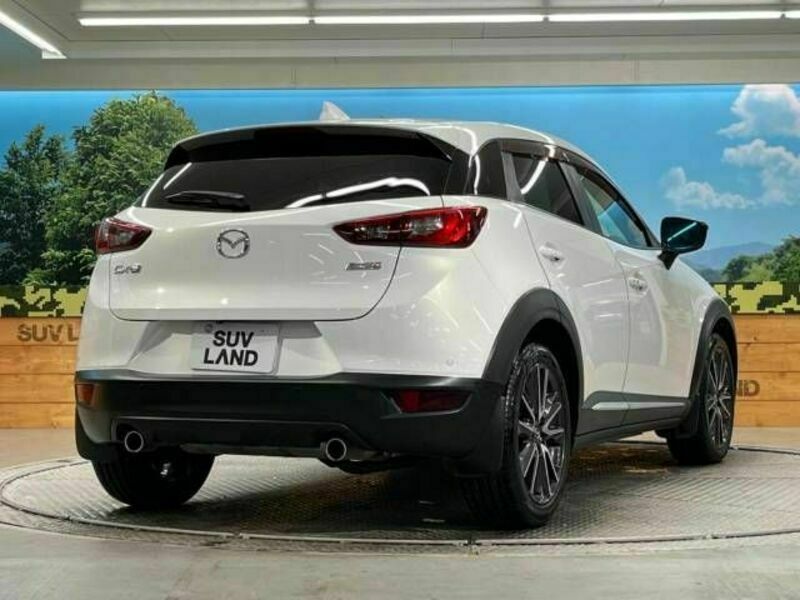 CX-3-17