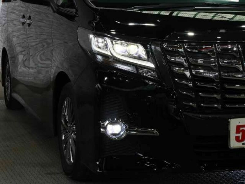 ALPHARD-13