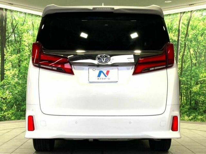 ALPHARD-16