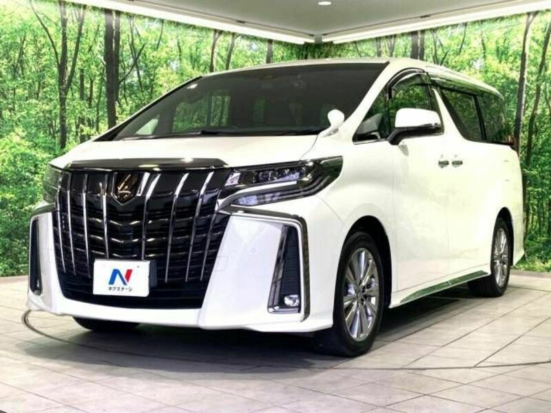 ALPHARD-17